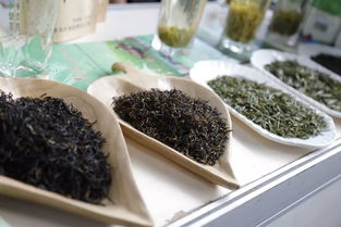 超贊！中山扶貧展銷會圓滿落幕，300余種特色農產品備受青睞，食用農產品初加工成焦點