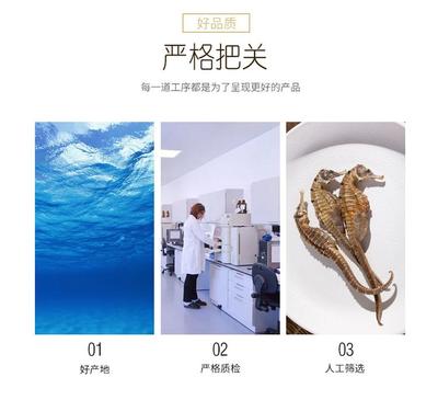 傳統(tǒng)滋補(bǔ)與現(xiàn)代工藝的融合 干無(wú)增重海馬湯料與古方泡酒的養(yǎng)生之道